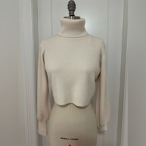 Aritzia Wilfred Rebecca turtleneck.